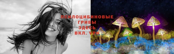 метадон Елизово