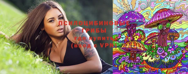 метадон Елизово
