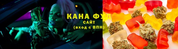 молекула духа Елабуга