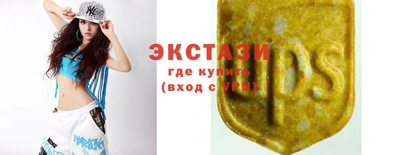 молекула духа Елабуга