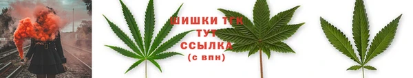 молекула духа Елабуга