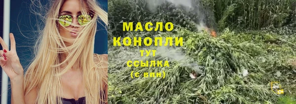 молекула духа Елабуга