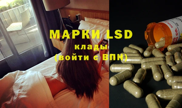 молекула духа Елабуга