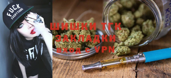 метадон Елизово