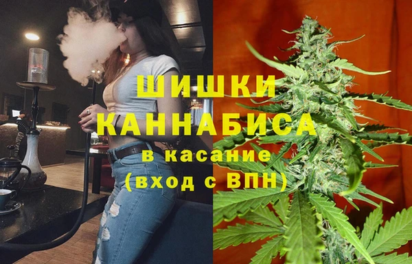 метадон Елизово