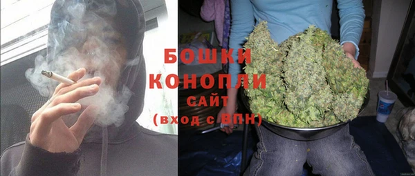 молекула духа Елабуга