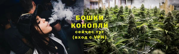 молекула духа Елабуга