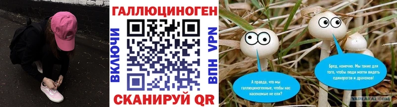 мега маркетплейс  Заозёрск  Псилоцибиновые грибы ЛСД  наркота 